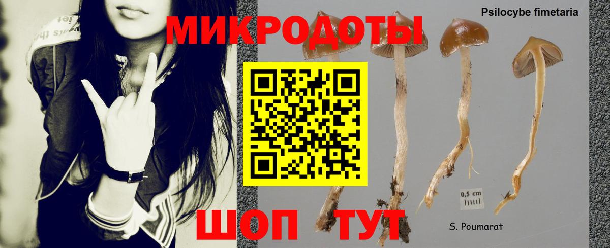 Галлюциногенные грибы Magic Shrooms  Вход с VPN  Красноярск 